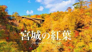 【絶景】宮城の紅葉といえばココ！包まれるような紅葉に感動。/大崎市/鳴子温泉/鳴子峡/カフェ/ランチ