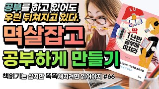 공부, 하기 싫지만 하게 만들고싶다면 ?! | 딱 1년만 공부에 미쳐라