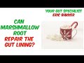 Can Marshmallow Root Repair The Gut Lining?
