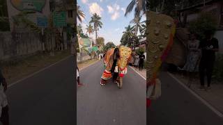 කොහමද අලියාගේ නැටිල්ල🐘🤭✨️💎♦️ How is the elephant dance? #shorts #short #shortvideo