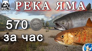 🌟РЕКА ЯМА🌟570 СЕРЫ ЗА ЧАС🌟Русская Рыбалка 4(РР4)🌟