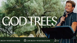 God Trees | Nick Nilson | Church of Whitestone