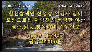 [물건번호1064. 경남 합천군 쌍책면 산정상에 위치한 임야로 경사거의 없는 평지형태의 야산 수준 남동향의 임업용산지 임산물재배및 염소 방목하여 키우실분에게도 추찬]