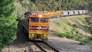 Aurizon 2182S Tailem Bend Grain Train through the Adelaide Hills - 29/10/2023