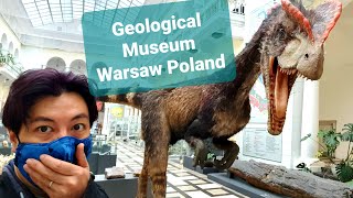 Geological Museum Warsaw, Muzeum Geologiczne