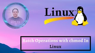 Batch Operations with chmod In Linux