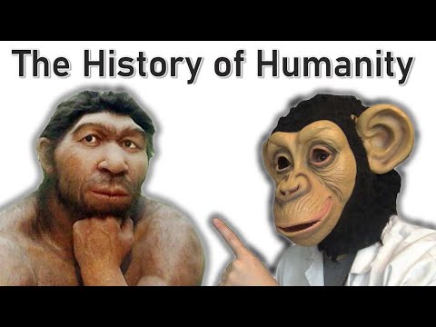 Which race has the least Neanderthal DNA?