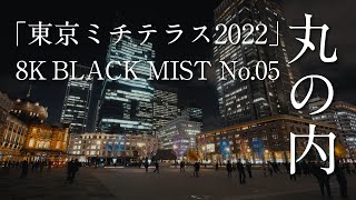 「東京ミチテラス2022」 アニバーサリー・シティ 8K 丸の内 行幸通り