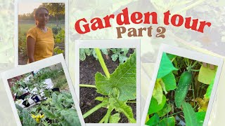 അമേരിക്കയിലെ പച്ചക്കറി തോട്ടം (Garden tour) - Part 2