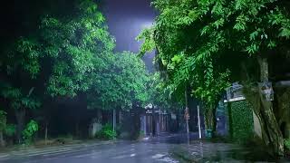 산책길의 폭우와 천둥소리로 달콤한 수면 불면증 빗소리 ASMR 백색소음, 기분좋은 빗소리로 불면증해소