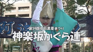 ここで見ると特別感が！「神楽坂かぐら連」Awa Odori Dance - 第59回中目黒夏まつり阿波踊り（2024.8.3）