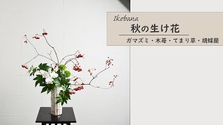 【秋の生け花】 初心者でもコツが分かればとっても簡単！ 生け方の基本からアレンジまでサクッと紹介。 ikebana style class Japanese flower arrangement