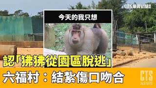 認「狒狒從園區脫逃」　六福村：結紮傷口吻合｜華視新聞 20230330