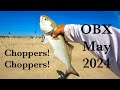 OBX Bluefish Surf Fishing  @ Oregon Inlet! Sheepshead - Bonner Bridge Pier! Bonus - Product review!