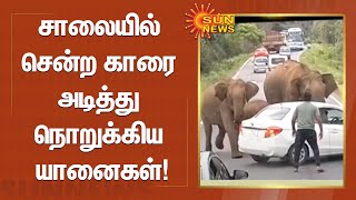 சாலையில் சென்ற காரை அடித்து நொறுக்கிய யானைகள்! | Sathyamangalam | Elephant | Car | Sun News