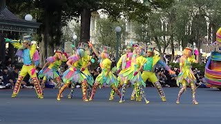 TDL  ディズニー・ハーモニー・イン・カラー  2024/12/30