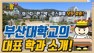 [부산대학교] 학과 소개! 역시 부산대 대표 학과는 이거지!