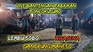 LIVE BANTENGAN PABRIKAN PONCOKUSUMO | LEMBU SOBO | WIRASENA | GANDRUNG MAHESO