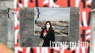 [mery_land] 제주살이  Vlog - 제주도민은 아니지만 제주살이중 6