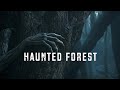 Dark Ambient Music | Hoia Baciu - The World's most Haunted Forest