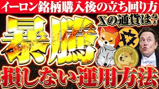 【仮想通貨】SHIB、DOGE、CAW、YAMAINU等爆益イーロン銘柄の上場、購入後の立ち回りを徹底解説!!【WSM】【シバイヌ】【ドージ】【ヤマイヌ】【X】