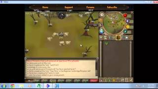 Powerbot Scripting Tutorial Part 3 - Getting IDs