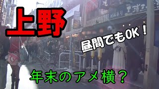 【アメ横】年末のアメ横？｜昼間でもOK！