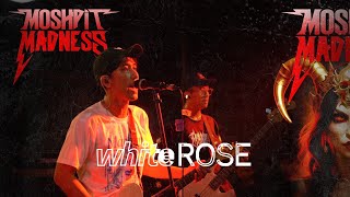 WHITE ROSE - MAYHEM MOSHPIT MADNESS 