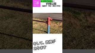 的場公園（福島市）  #Shorts