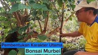 Proses Pembentukan Karakter Utama BONSAI MURBEI