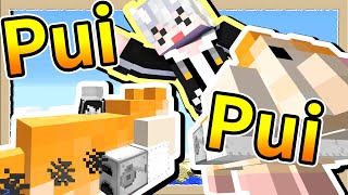 【Minecraft🐹天竺鼠車車】#05 空污鼠車車PuiPui登場🚑飛上空島展開大冒險吧🐤