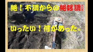 【家庭菜園】 163 絶不調からの絶好調　何が起きた！