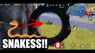 Count The Snakes | FEAR OZZY | #PUBGMOBILE