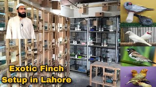 Exotic Finch Setup || Visited Amir SB Setup in Lahore Pakistan