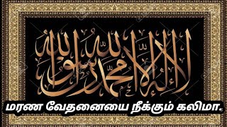 மரண வேதனையை நீக்கும் கலிமா.|Tamil bayan |Tamil hadees, Tamil Today Muslim Tv.