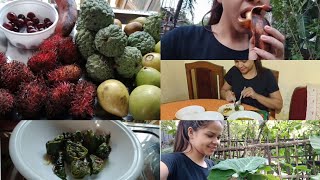 Patra recipe//কচু তৰকাৰী কিদৰে বনালে ডিঙিত নখজুৱাই //100 days vlogging challenge //1st day