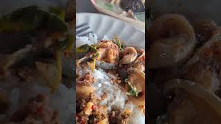 ข้าวราดแกง #music #ท่องเที่ยว #อาหาร #เดินทาง #ปลา #ก๋วยเตี๋ยว #cover #ไก่ย่าง