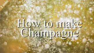 How to make Champagne | Wine region | Wine basic | Wine study