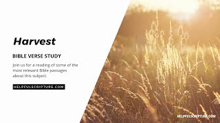 Bible Verses About Harvest