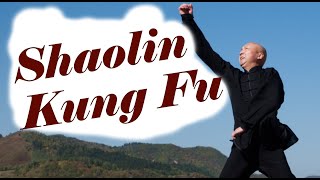 Shaolin Kung Fu Basic Training for Adults - Session 3