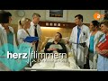 Herzflimmern – Die Klinik am See: Staffel 6 Folge 16