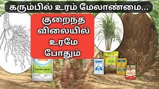 கரும்பு பயிரில் உரம் நிர்வாகம் | Sugarcane crop fertilizers management @vivasayapokkisham