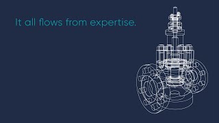 Severn – Superior Valve Engineering