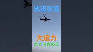 大迫力　成田空港　ひこうきの丘