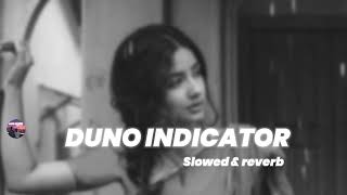 Duno indicator // slowed \u0026 reverb // Bhojpuri lofi // bikku