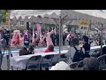 姫路お城まつり　2024 　千姫桜　　　　姫路千姫顕彰会　　　　　　　　　　　　　　　　　　