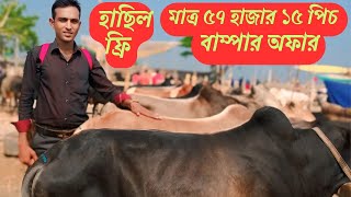 ৫/১১/২০২৪ মাত্র ৫৭ হাজার টাকা || জেঠুয়া পশুর হাট ১৫ পিচ || খামারে উপযোগী ষাঁড় গরু ||