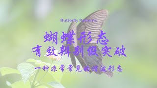 【谐波理论】蝴蝶形态（butterfly patterns）——识别假突破的利器