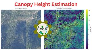 Canopy Height Estimation with GeoAI and Pretrained Models