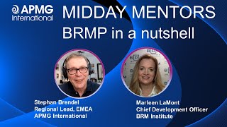 BRMP In A Nutshell - Marleen LaMont explains the Business Relationship Management Professional